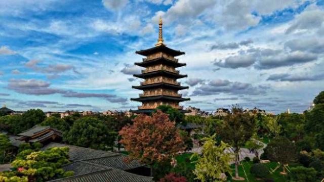 要降温了，准备好去迎接绚烂魔都！宝山寺的枫树已变红，秋霞圃的枫树、局门路的银杏再等20天