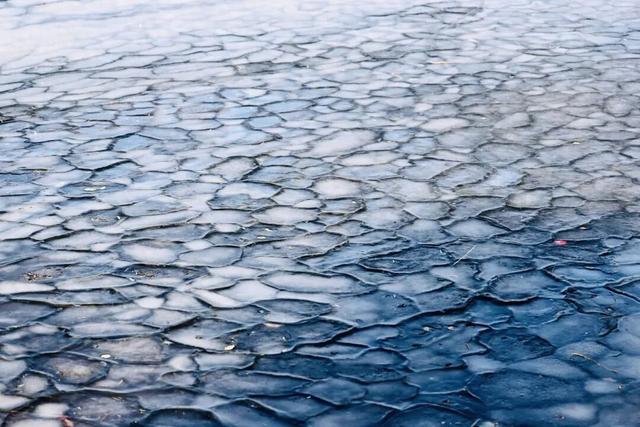 长春惊现“龙鳞”！绝非人工