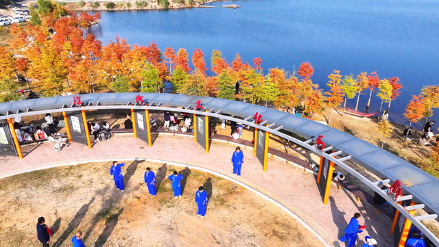 麻城：初冬红杉映碧水 湿地风光引客来