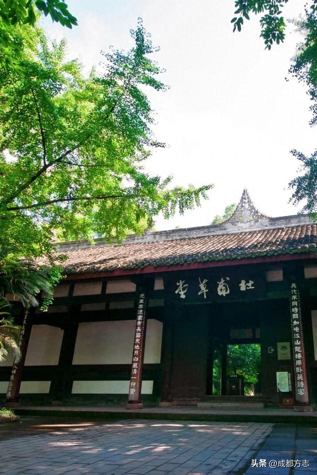 400岁树龄！成都这里有“中国最美古树群”→