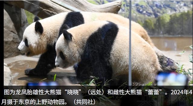 53年来首次，日高官求中方一件事，不到24小时，高市涉台措辞变了