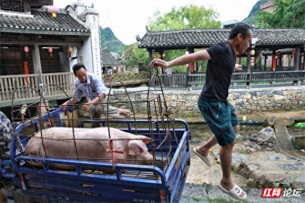 跟着网友游广西古村 | 一脚迈进富川福溪，把匆忙留在古巷外