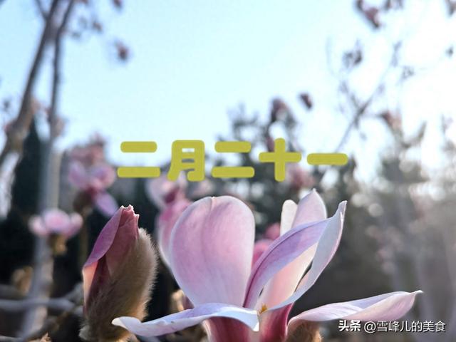 农历二月二十一出生的人（农历二月二十一）