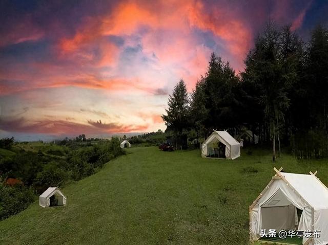 华亭：荒山披绿变“金山”