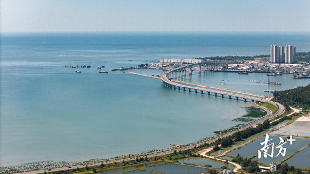 绿廊连碧海 公路展诗卷 | 茂名滨海漫游图鉴