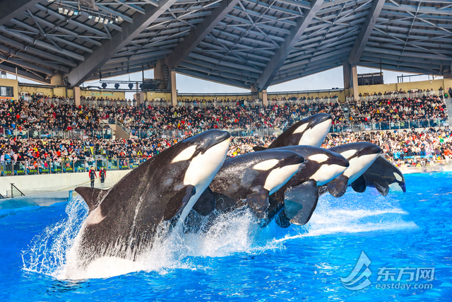 春假首日游客抵沪打卡！长三角“春游运”拉满，上海成亲子家庭跨省游首选