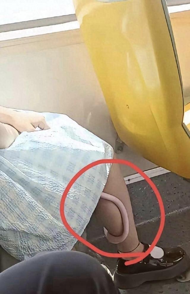 公交车上遇神秘飘带，走近一看懵圈了	，这到底是什么东西？