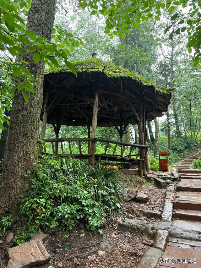 青城山，来过了，说几句