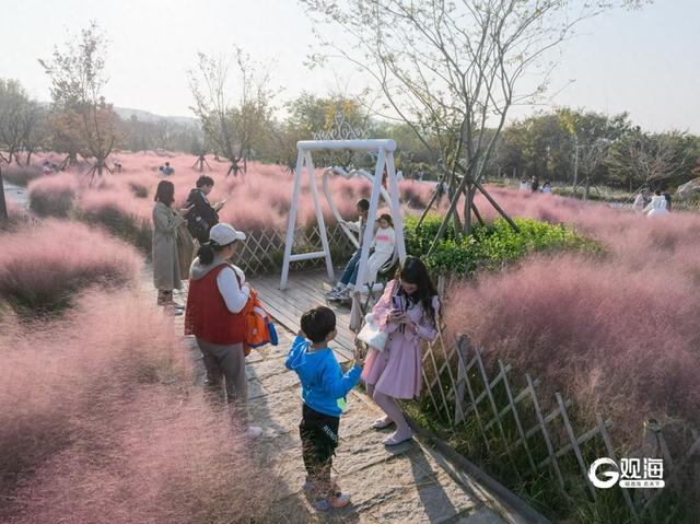 从“生态绿地”进阶“生活主场”，青岛持续提升城市公园品质