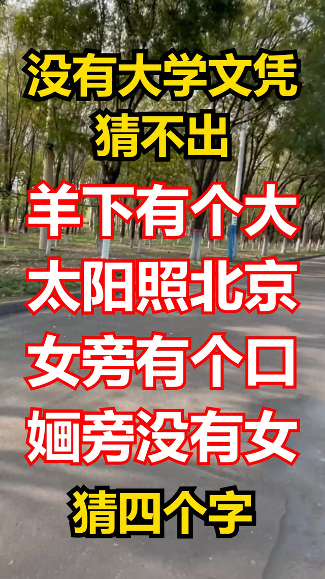 羊下有个大_太阳照北京_女旁有个口_婳旁没有女,猜四个字