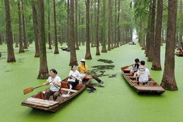 “双节”期间文旅市场百花齐放 多元业态激活消费新活力