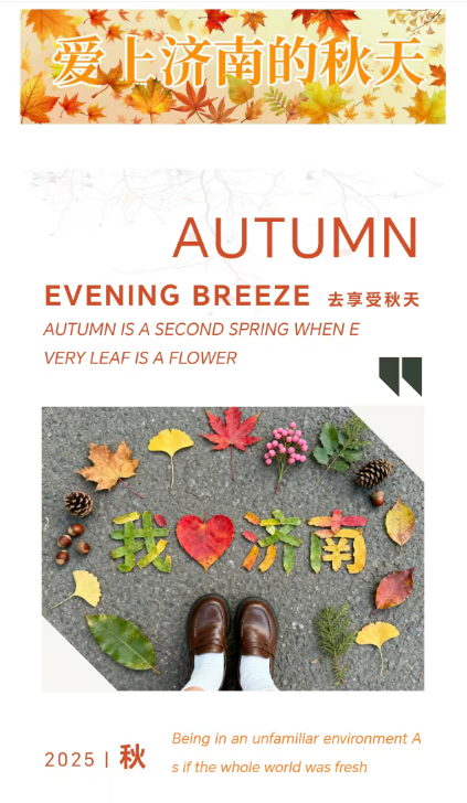 “捡秋”示意图和济南这几个公园的落叶都准备好了！