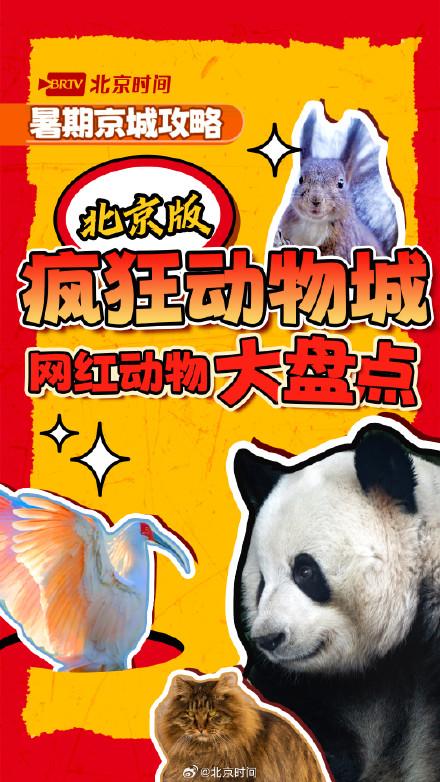 北京网红动物大盘点