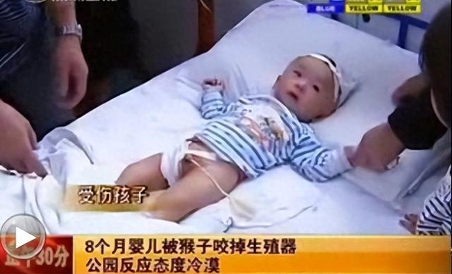 男子黔灵山辱骂老头后续：正脸曝光账号被扒，难怪嚣张 受害者回应
