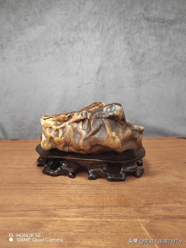 戈壁老皮石，沙漠中的活化石