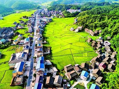 秋景入画来