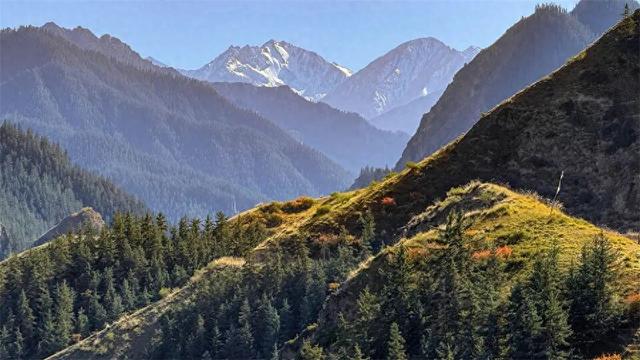 张掖：秋日祁连山风景如画 雪山金草绘就壮美诗篇