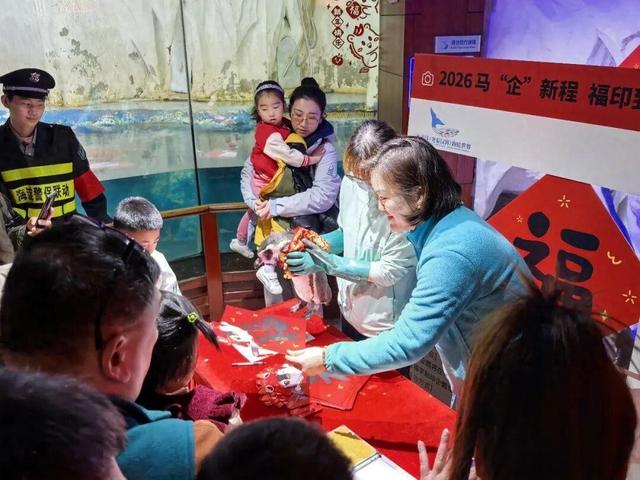 限量企鹅“福印”！海淀这个“海底世界”水下送惊喜