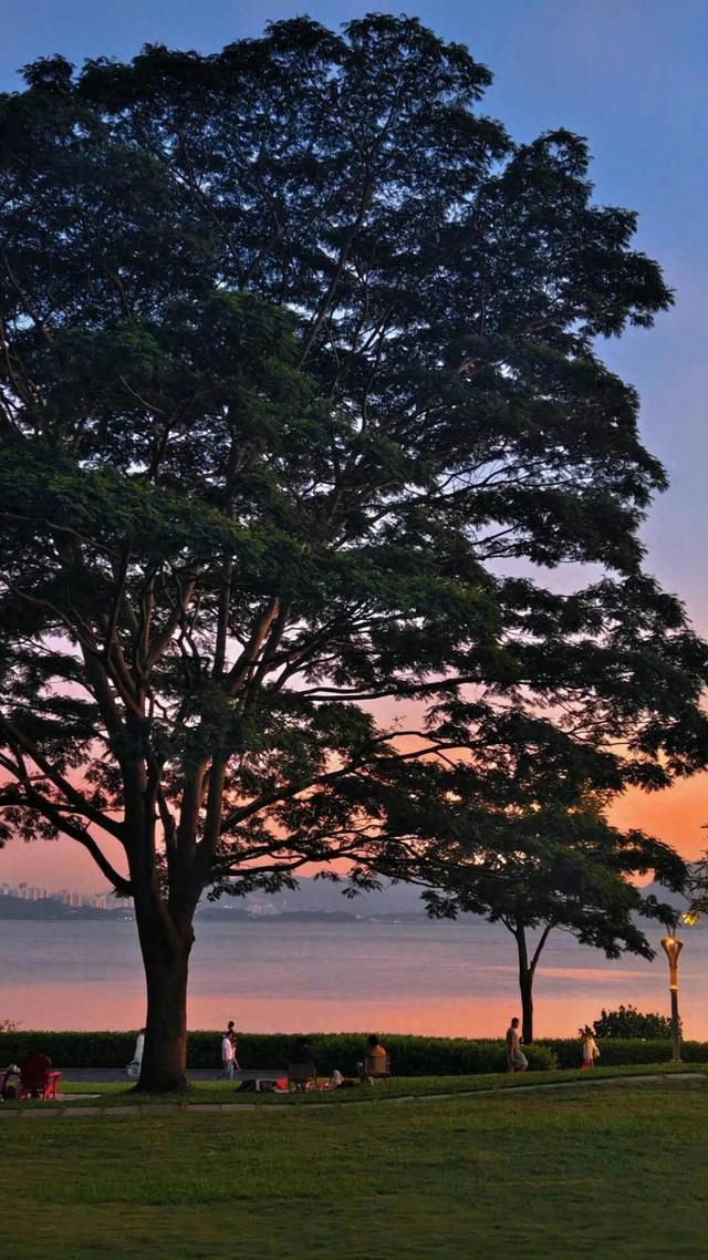 日落与海边 ​​​