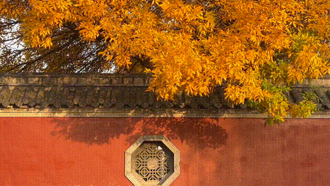 红与黄！我不允许还有人不知道这个打卡点！