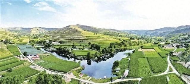 黄土高原的“江南秘境”——甘肃会宁齐靳湿地生态掠影