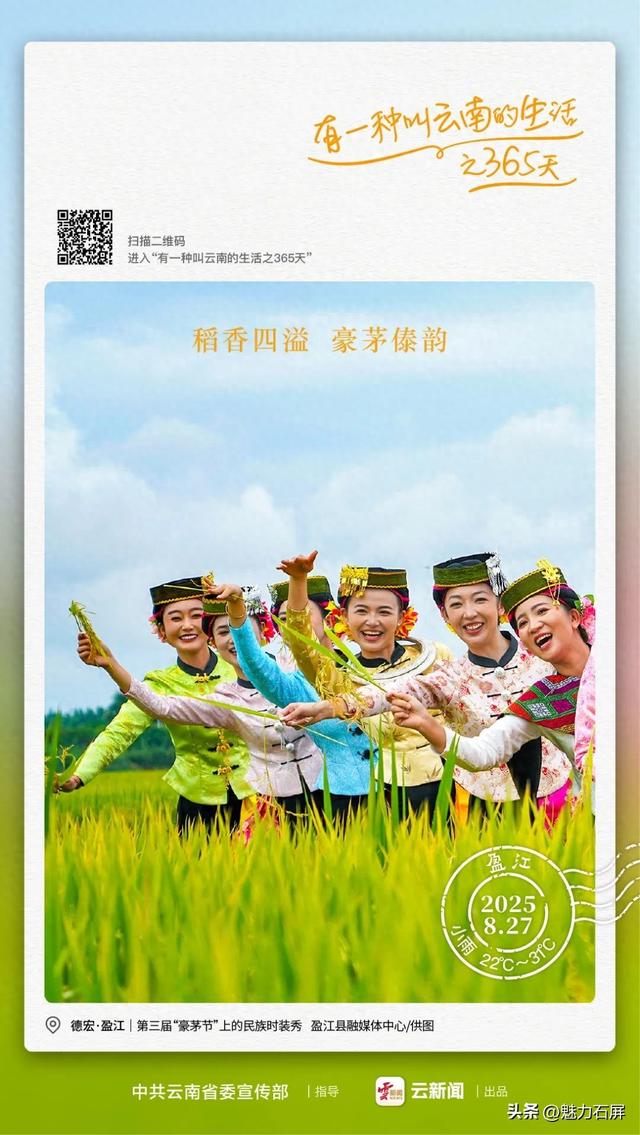 稻谷黄了，德宏这里又“过节”了丨有一种叫云南的生活之365天