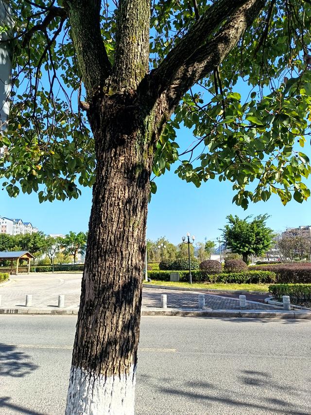 心灵湖面映真我：当写作不為流量	，幸福便有了电量