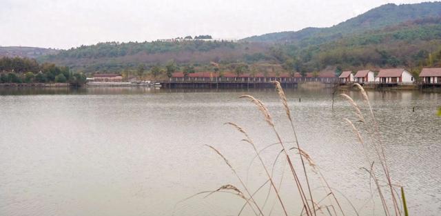 沙淤景区：红艳火棘 亮丽风景