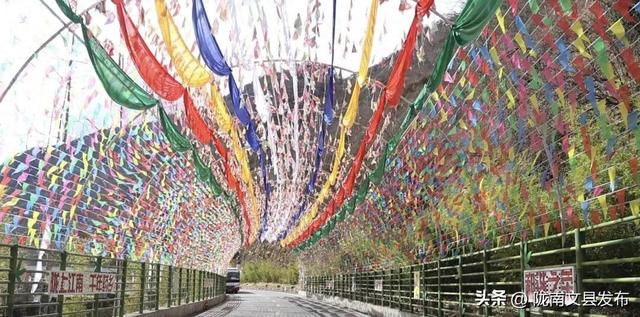 正月十五来文县！白马藏乡即将上演民俗狂欢