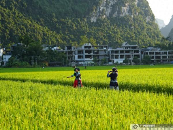 来广西暖一冬吧！避寒线路已备好，各位请上车～