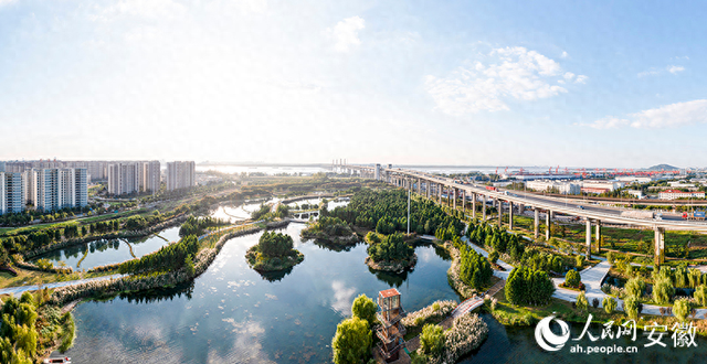 芜湖朱家桥尾水净化生态公园：有“颜”更有“料”