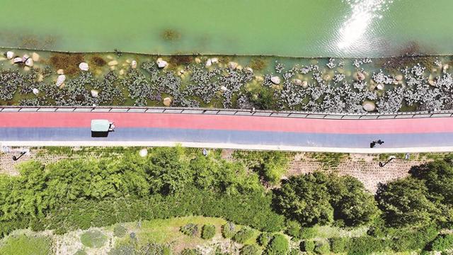 银川：织密生态绿网 共享宜居空间