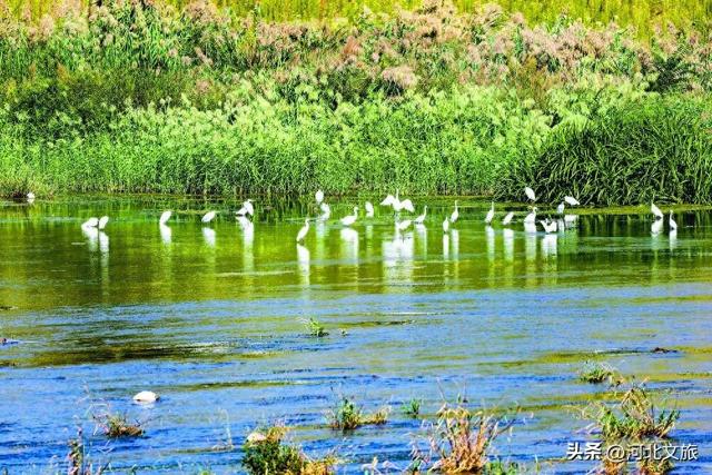 激活文旅新动能，看石家庄井陉县如何打造绵蔓河湿地旅游经济带