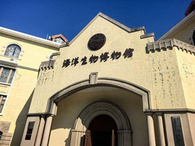这里是青岛｜海大海洋生物博物馆免费开放，3000余标本展现海底奇幻