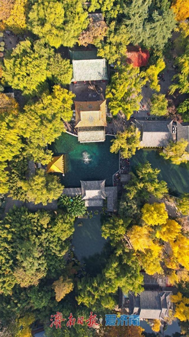 趵突泉秋景如画 泉涌叶舞醉游人