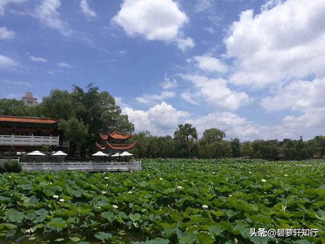 去云南昆明、丽江、大理会有高原反应吗？