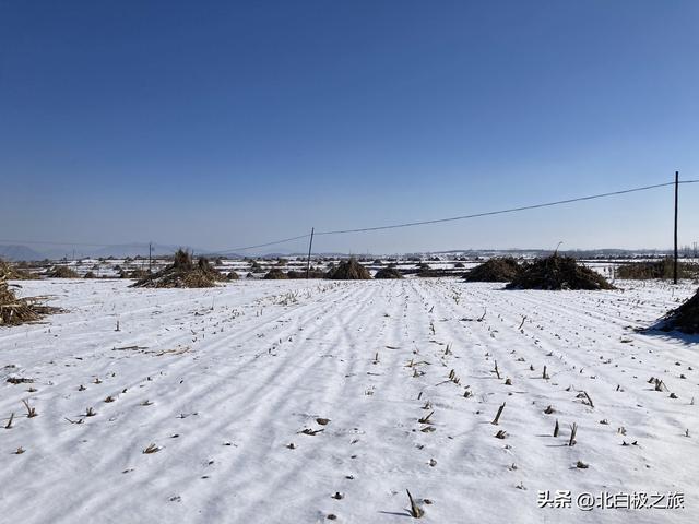 苦命的女人眼看快不行了，换来的竟然是男人冷冰冰的一句话！