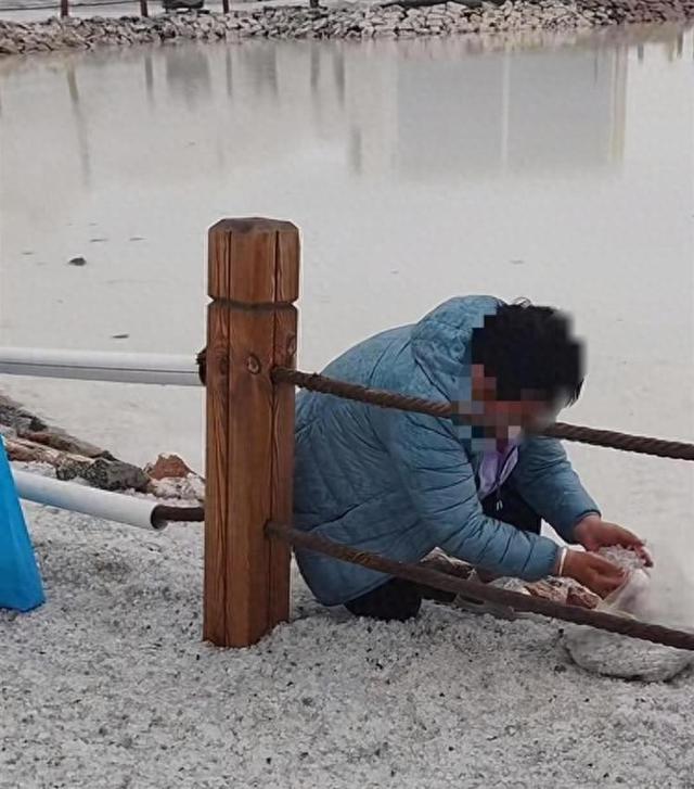 游客成袋装走茶卡盐湖铺路的盐？景区回应：确有此事，不建议拿，凭套票可免费领食用盐