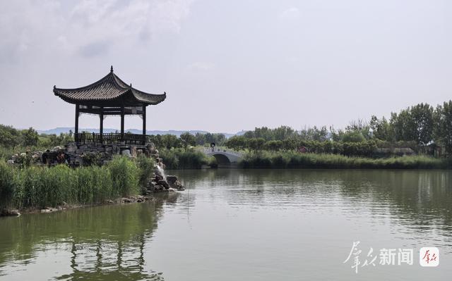 大河奔涌万象新 | 黄河洽川湿地：在万亩芦荡下看见绿水青山