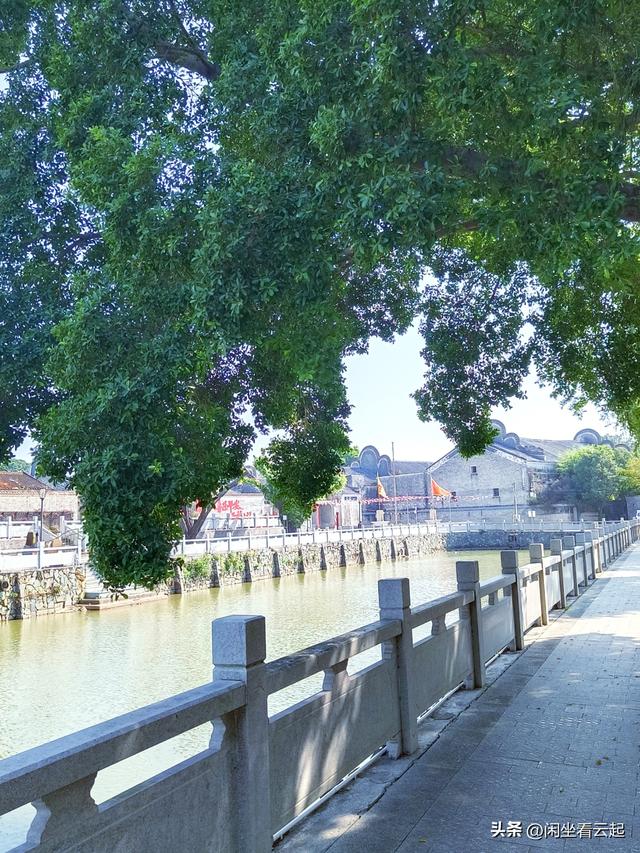 藏在佛山的“岭南故宫”！这个古村水塘+镬耳屋美成水墨画