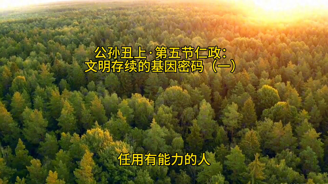 秘密森林解密游戏攻略（探索森林的秘密）