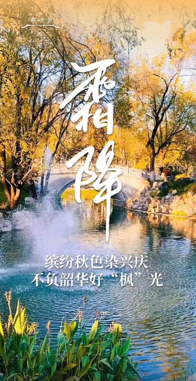 霜降|秋色已深,“枫”光正好 霜降|秋色已深,“枫”光正好