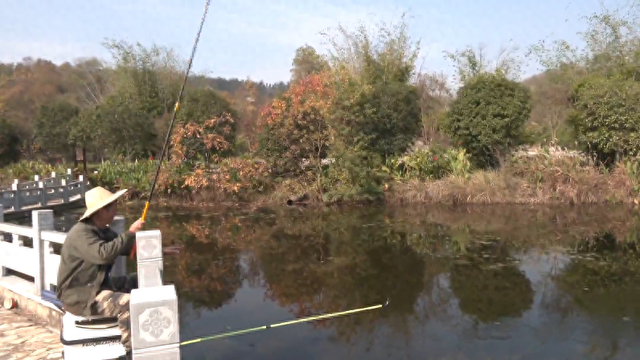 黄陂：木兰蝴蝶谷景区晋级国家3A级旅游景区