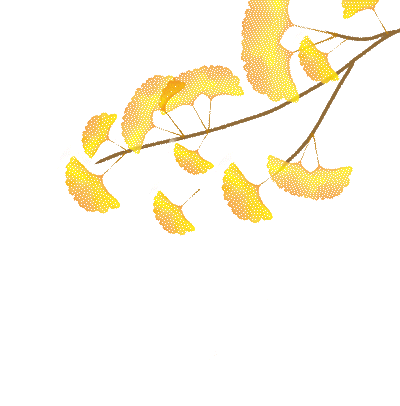 金色盛装！永新黄竹岭古银杏迎来“高光时刻”