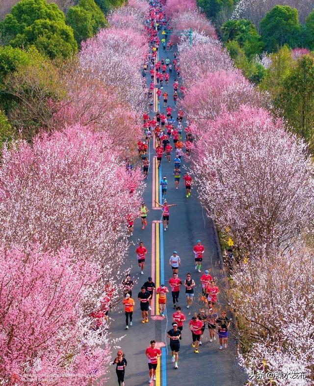 三月的傅家边，太值得奔赴啦！
