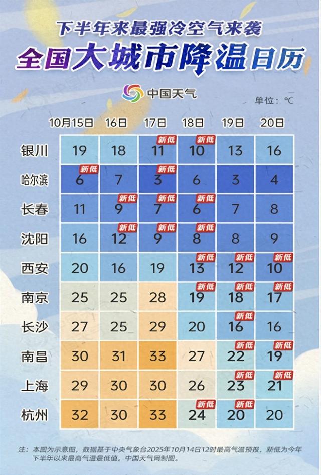 又到一年丰收季，我选择进村当次都市“栗”人