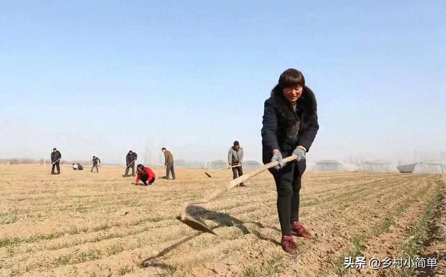 明日霜降不一般，老人说“大雪来不来，就看霜降”，今冬大雪？