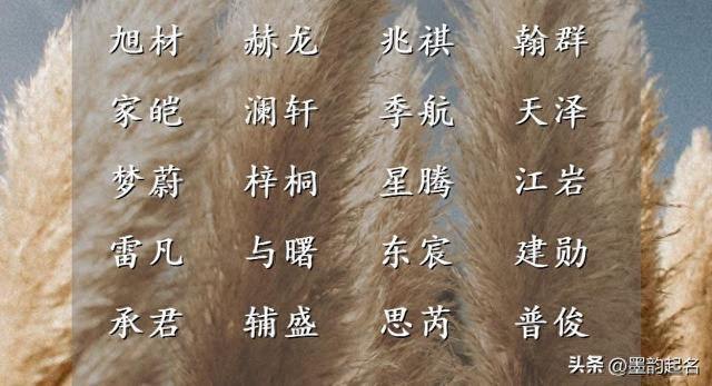 珊珊可爱意思简单介绍（宝宝起名结合字形字音）