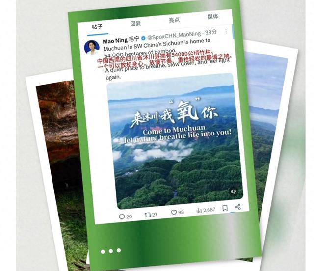 外交部发言人毛宁，再一次向全球推荐乐山！