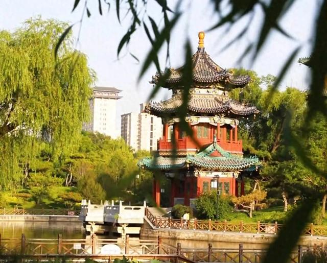红果似灯笼，湖水映光影！太原迎泽公园初秋氛围感拉满！